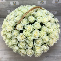 The most delicate basket of 101 white roses